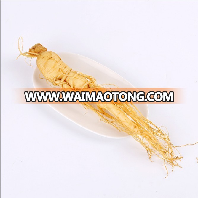 1005 Ren shen use for crude Chinese Medicine Ginseng for sale