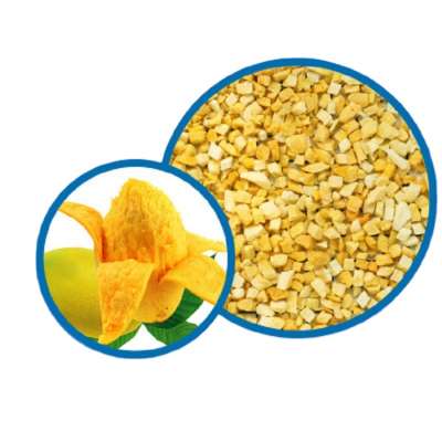 FYFD004F High quality 5*5*5mm frozen mango dice